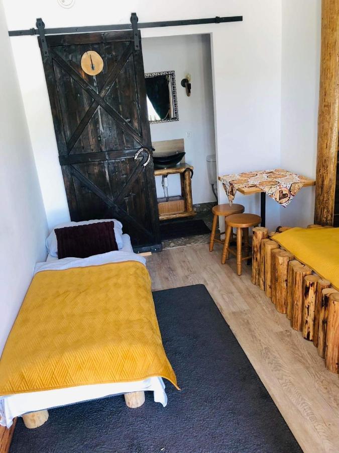 Rochowa Buznica زاكوباني المظهر الخارجي الصورة